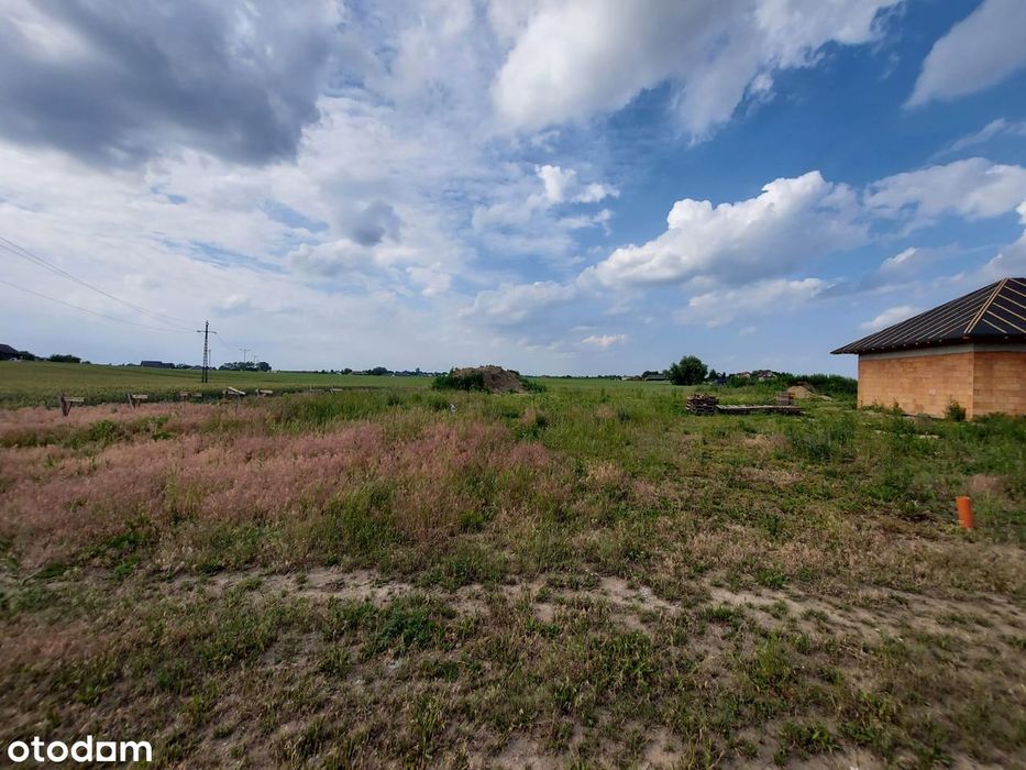 Działka 1386 m² z PROJEKTEM i POZWOLENIEM NA BUDOWĘ! Pigża k. Torunia - Widok 3