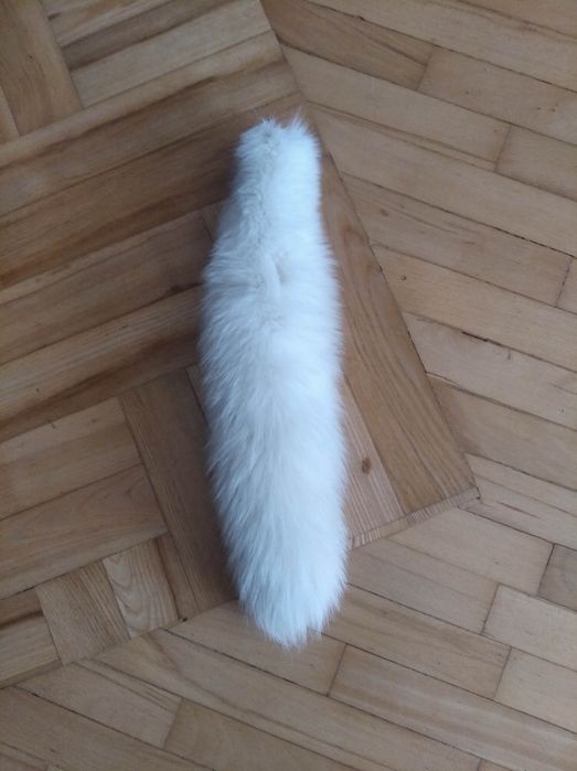 Sprzedam ogon z lisa, lisy, lis, skóry, skóra