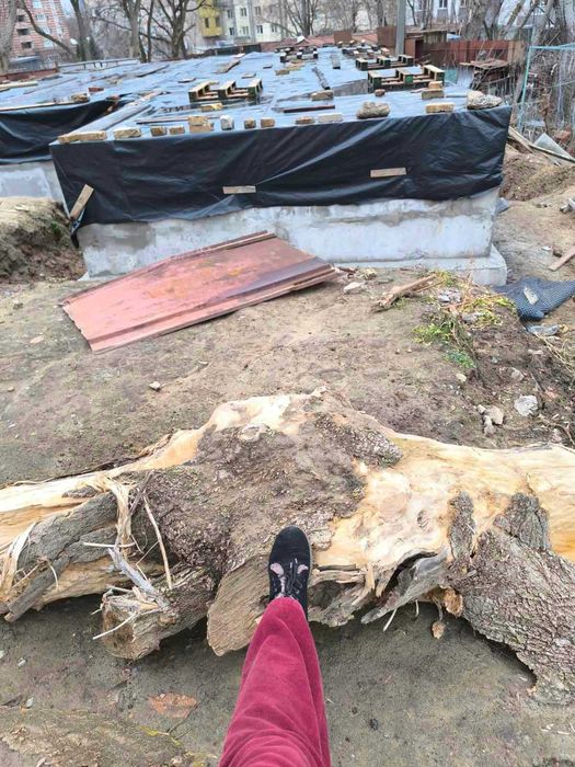 Деревина для обробки, дрова