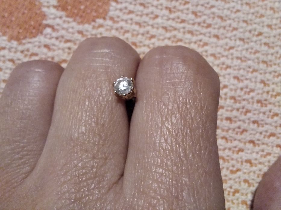 Золотая  сережка гвоздик