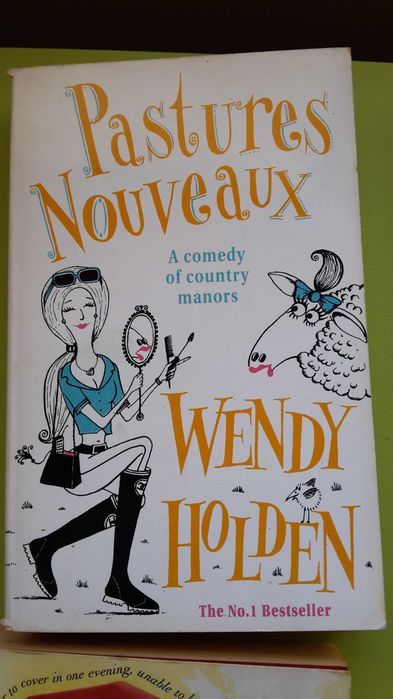 Último grupo de 9 livros em inglês