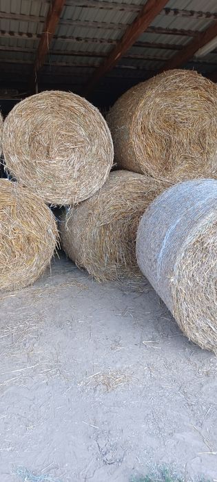 Sprzedam slome  siano  transport