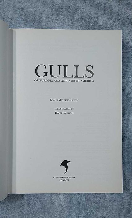 Mewy Europy, Azji i Ameryki Północnej po angielsku