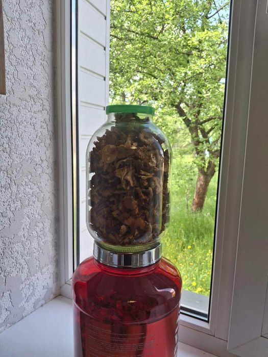 Продам сухі лисички