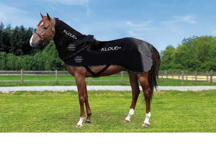 KLOUD - fizykalna terampia, PEMF PEMA