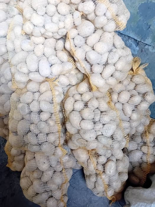 Ziemniaki odpadowe soraya