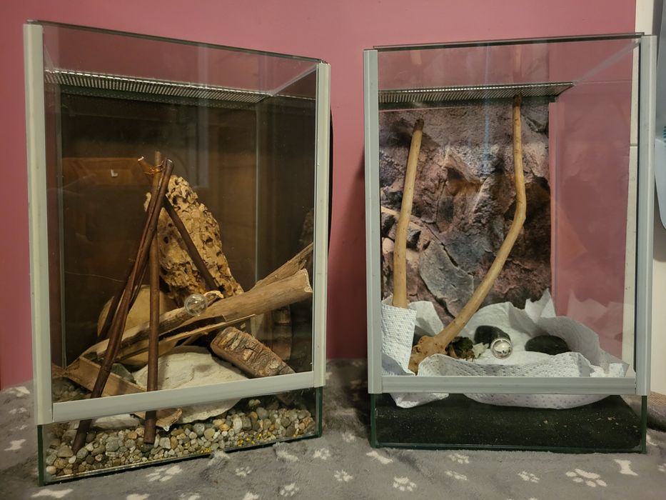 Terrarium 20×20×30 cm z wyposażeniem – idealne dla ptaszników, modliszek, gekonów i innych małych zwierząt