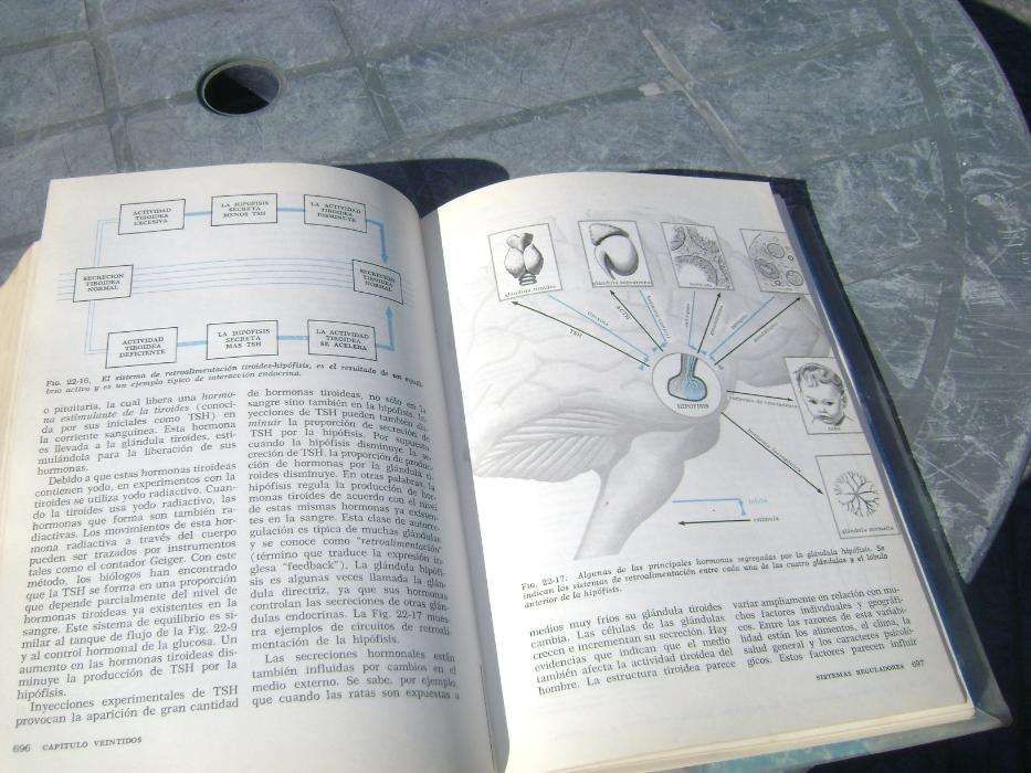 Livro manual enciclopedia em espanhol ciência biológicas