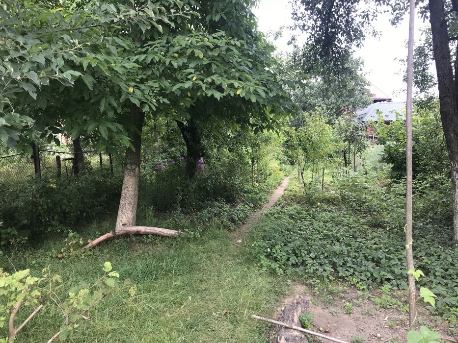 Продам будинок Свалява вул.Визволення