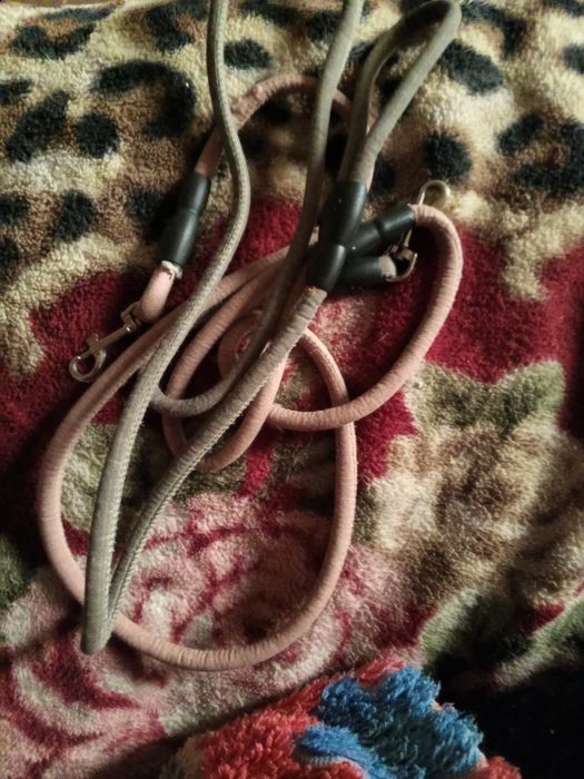 Собачий речи для шинят