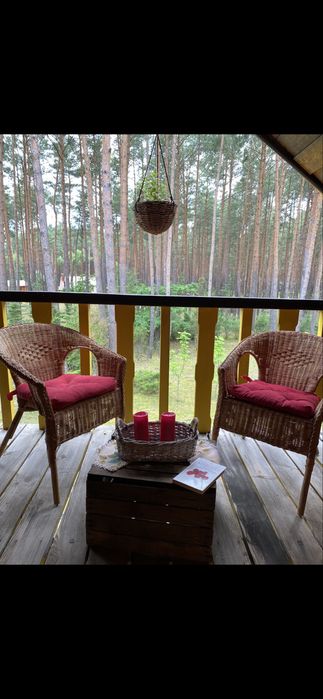 Leśny Czar-Dom na wynajem