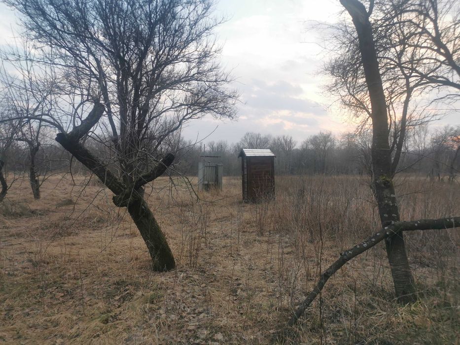 Без % продаж будинку с Нічогівка Козелецький р-н 36 соток Чернігівська