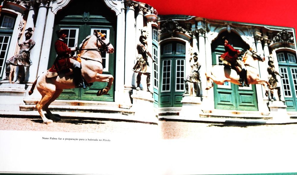 Arte Equestre: Cavalo Lusitano - O Filho do Vento, livro 1993