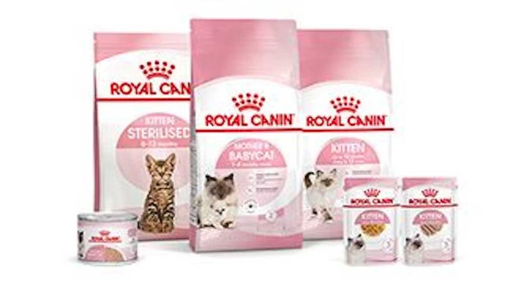 -25% Royal Canin для котів на весь асортимент / в наявності