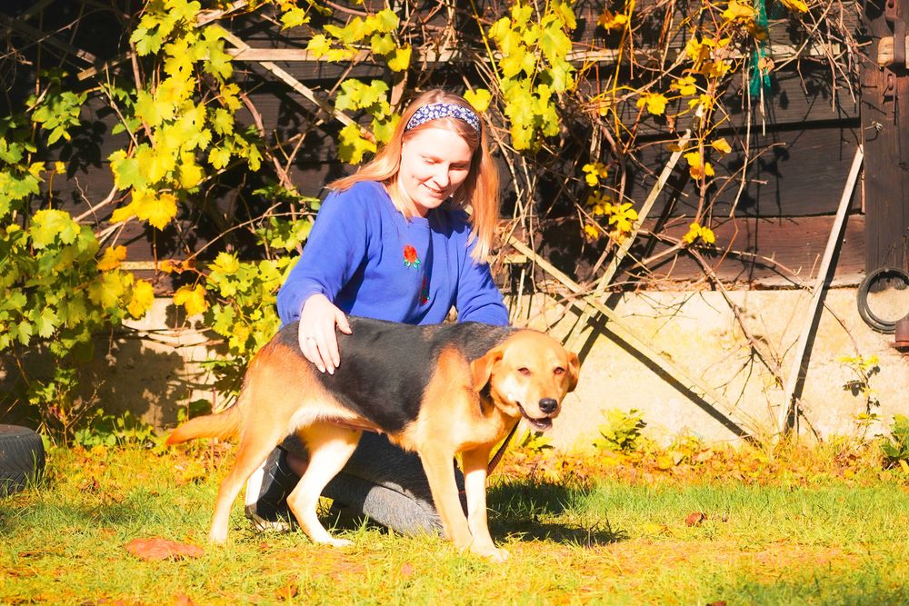Helcia słodziak czeka na dom