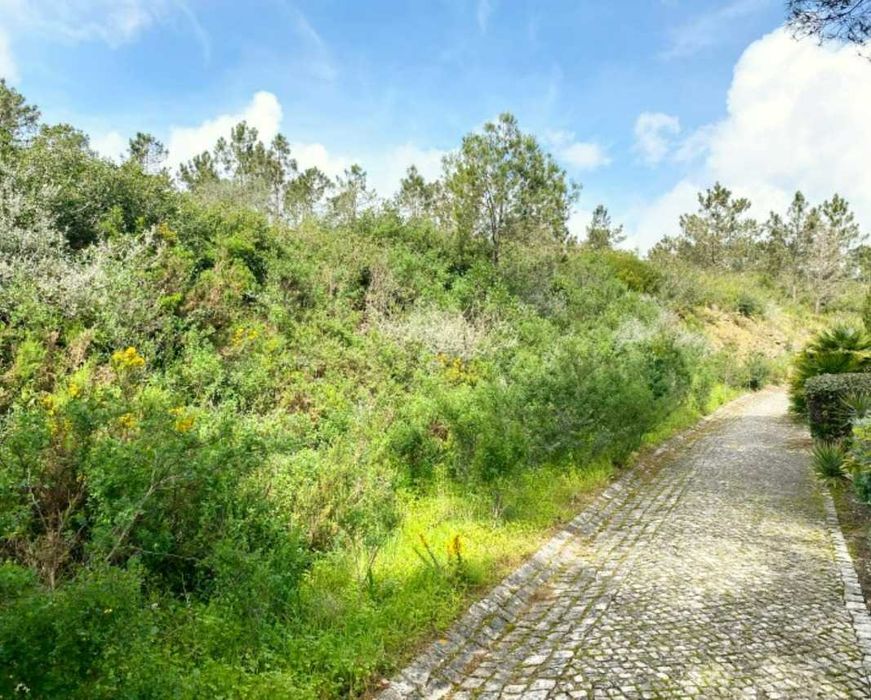 Construção de edifícios para escritórios e comércio em Belas Clube de Campo, Sintra