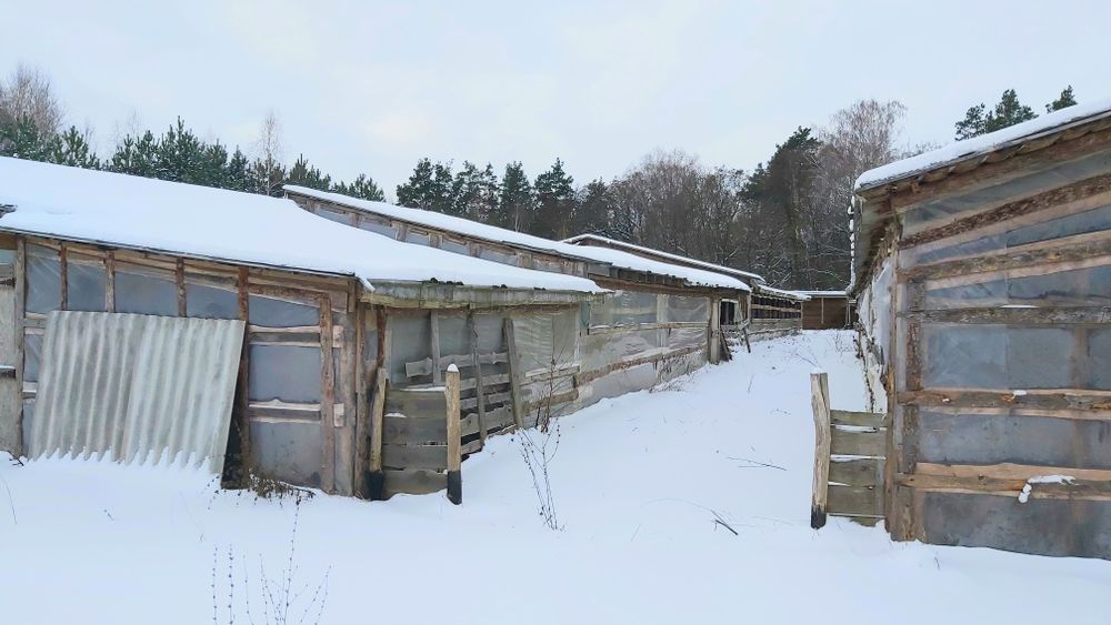 Продам  свиноферму у ліса +10 Га землі,  20 км від Чернігова.