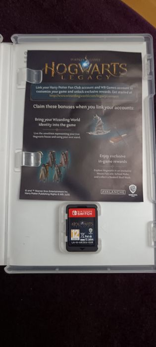 Hogwarts legacy nintendo switch