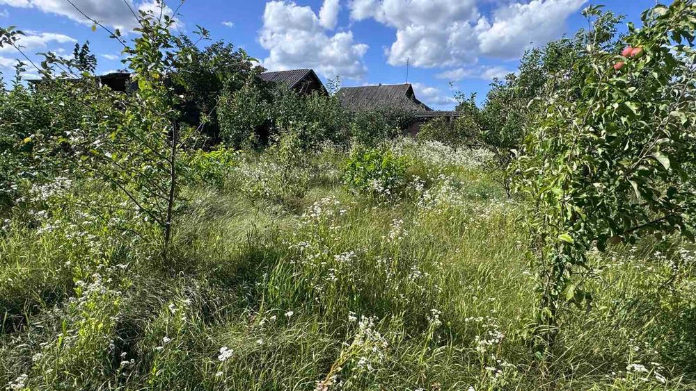 (5) Продам будинок в с.Медвежа 1122