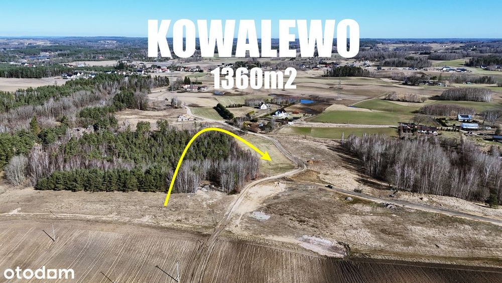 budowlana | ze ścianą lasu | płaska i sucha | warunki zabudowy - Widok 2