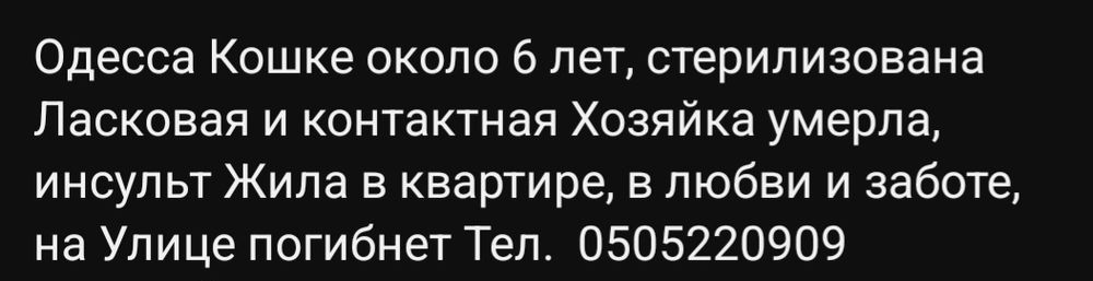 Отдам даром в добрые руки черно-белую кошечку