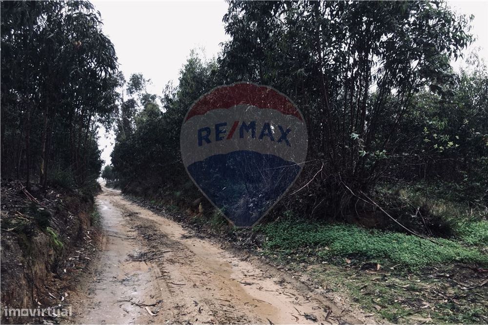 Plot of Land for Sale