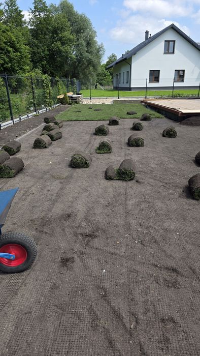 -> TRAWA w Rolkach Ogrodowa | TRANSPORT | Producent Polski