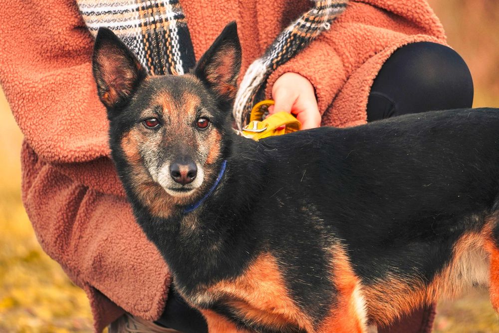 Edwardo szuka przyjaciela