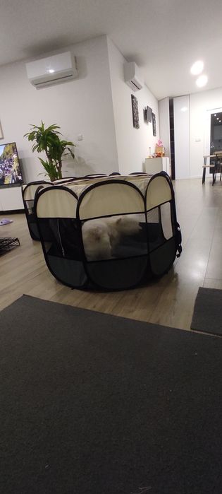 Conjunto 2 Parques Dobráveis para Cães/Gatos (120cm + 85cm)