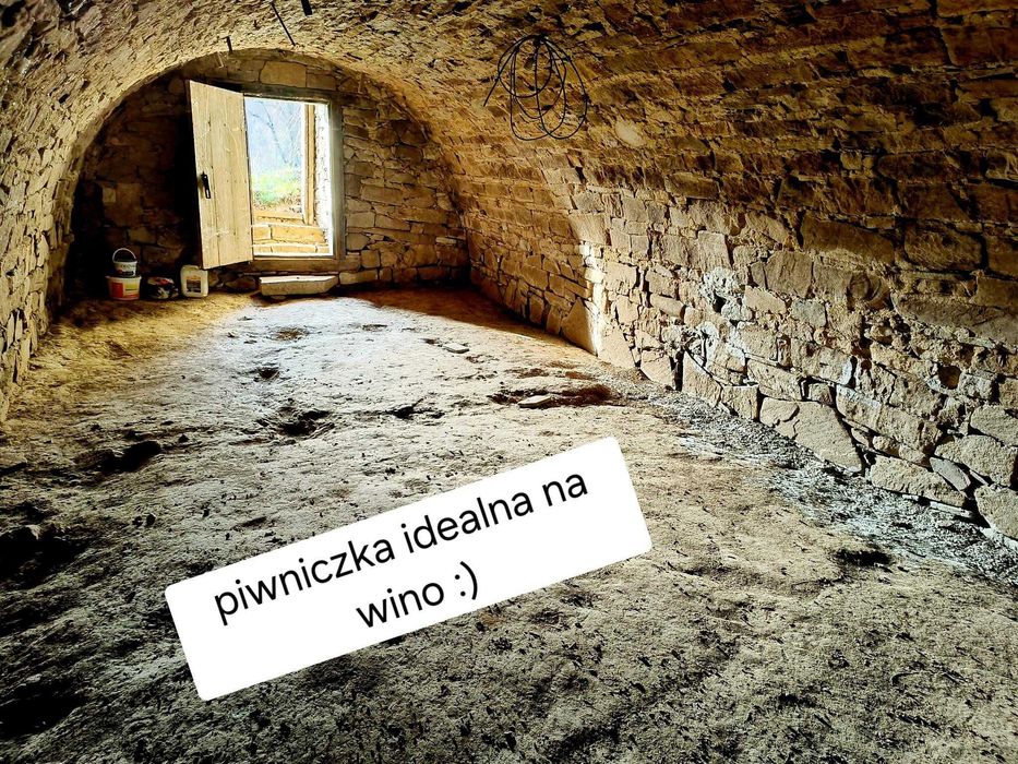 Zdjęcie 7