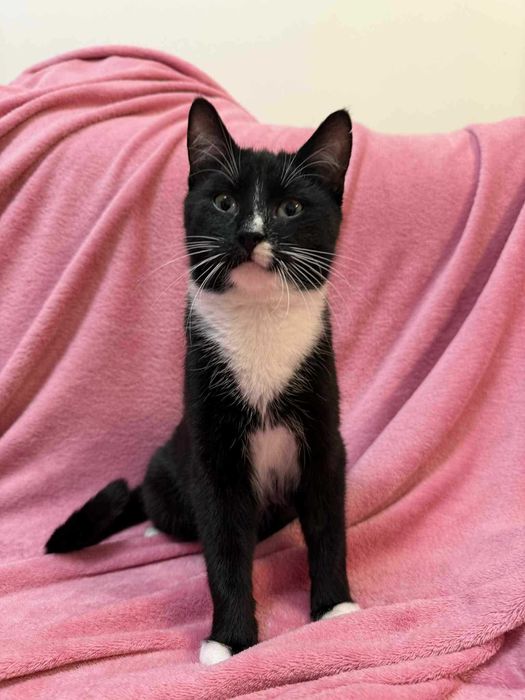 Walduś i Mariola szukają domu