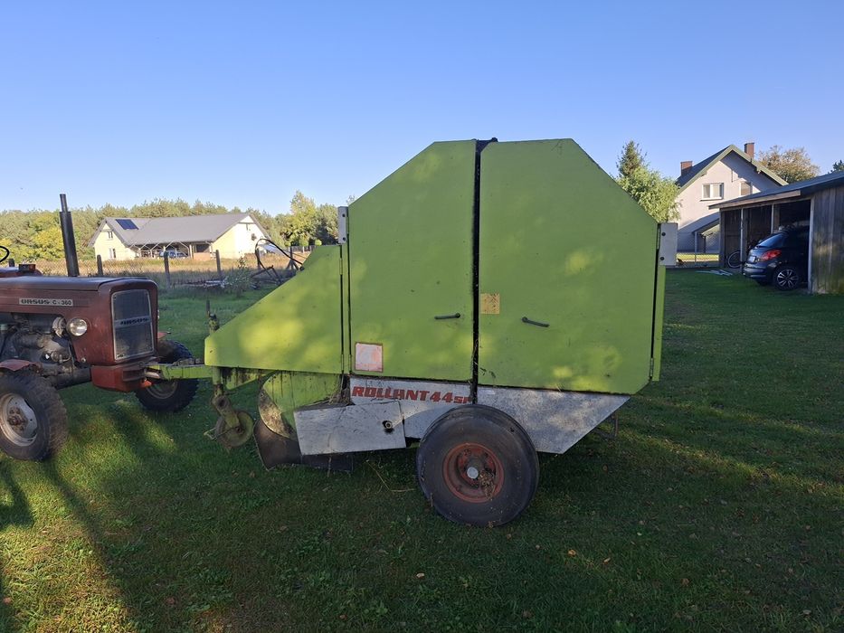 Sprzedam prase Claas Rollant 44