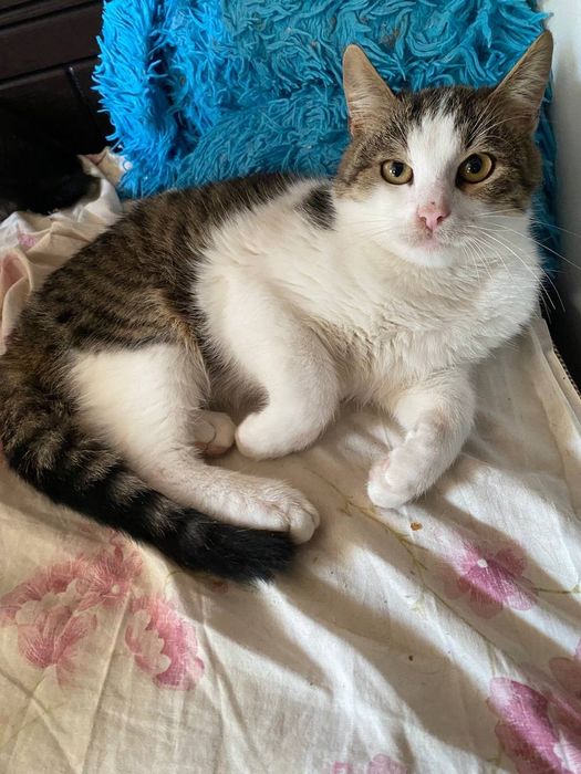 В люблячу родину!!