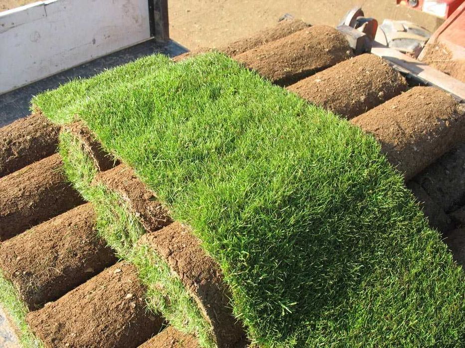 Trawa w rolce m2 Kraków małopolskie www.gardenlawn.pl/trawa-w-rolce