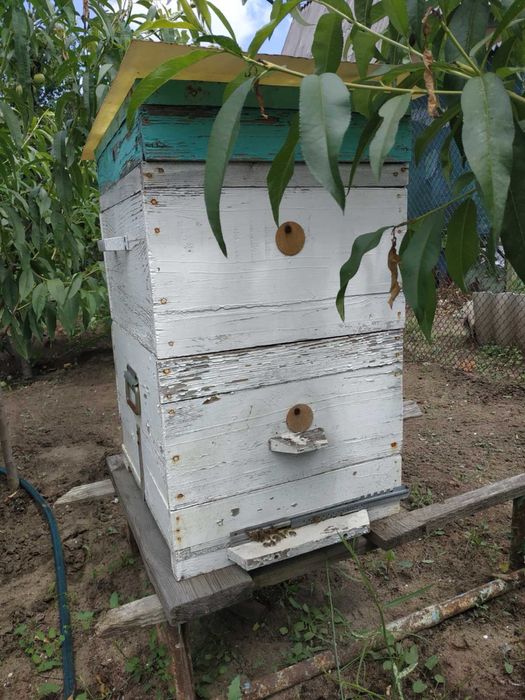 Продам ульи б/у, лежаки