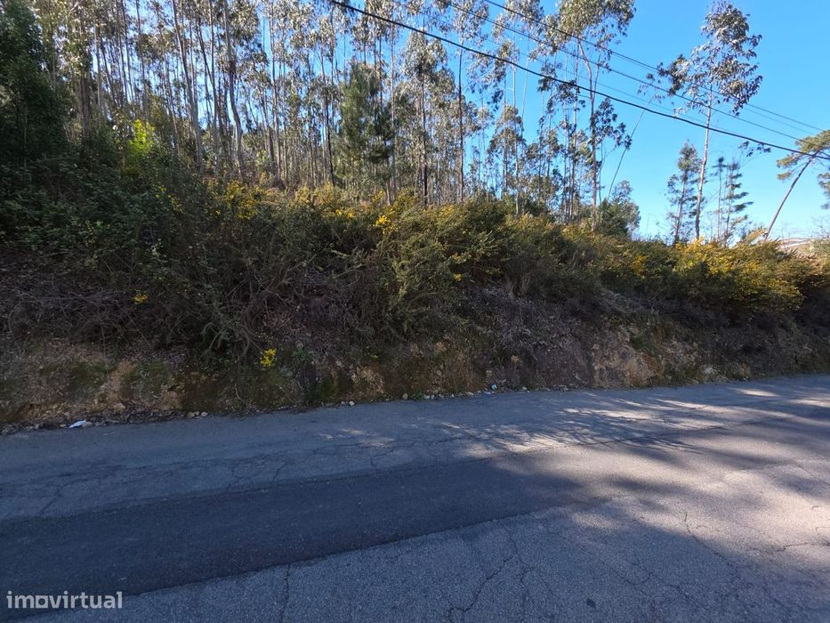 Terreno para construção em Sanguedo — Sanguedo, Aveiro