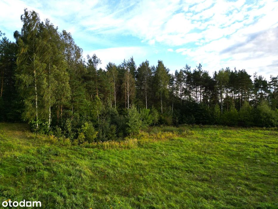 1,8 ha pod zabudowę mieszkaniową - super potencjał inwestycyjny – další