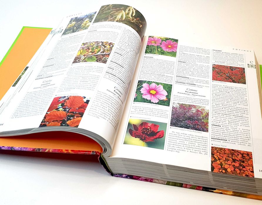 Wielka ilustrowana encyklopedia roślin ogrodowych - Reader's Digest