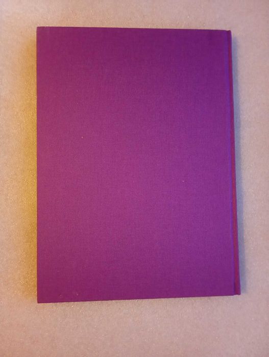 Падение Камелота . Зачарованный мир