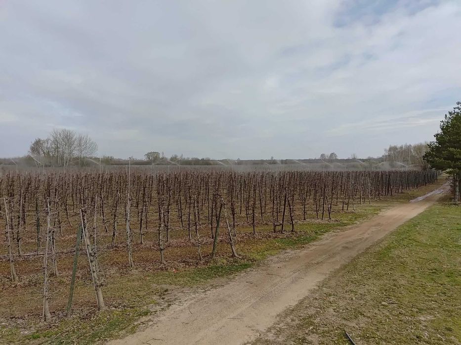 Nawodnienia przymrozkowe, kropelkowe zraszacze, wpuszczanie pomp głębinowych