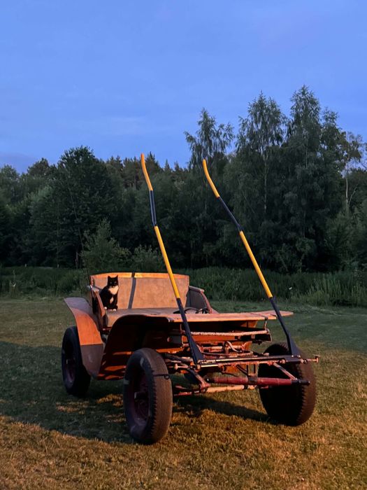 Bryczka konna kon