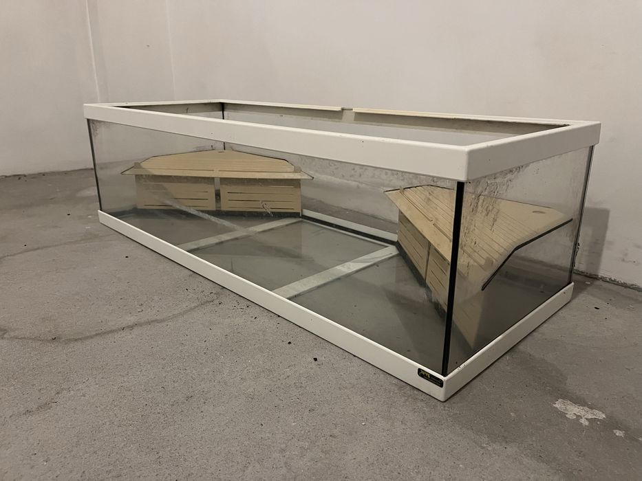 Aquário usado para tartarugas