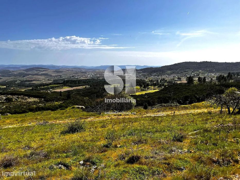 Terreno em Alijó