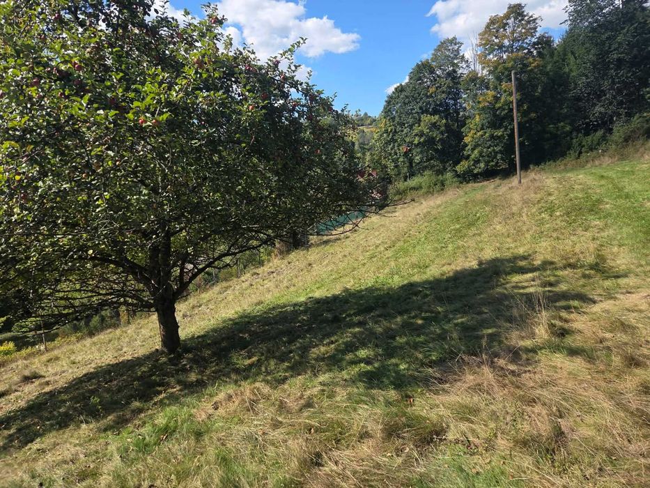 Sprzedam działke budowlaną - Widok 2
