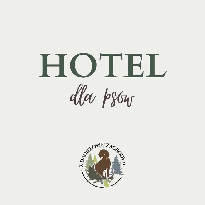 Hotel dla psów, Hodowla, Szkolenie psów