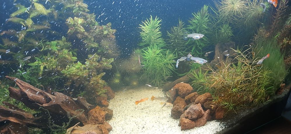 Akwarium 112 l aquaela