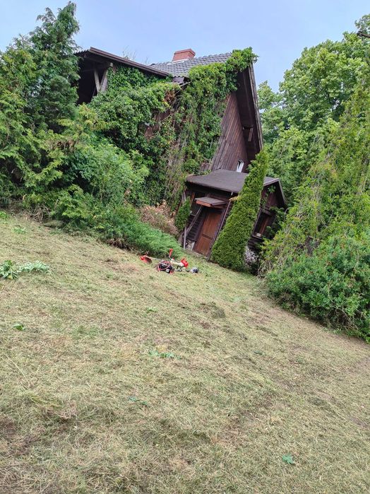 Czyszczenie karczowanie dzialek