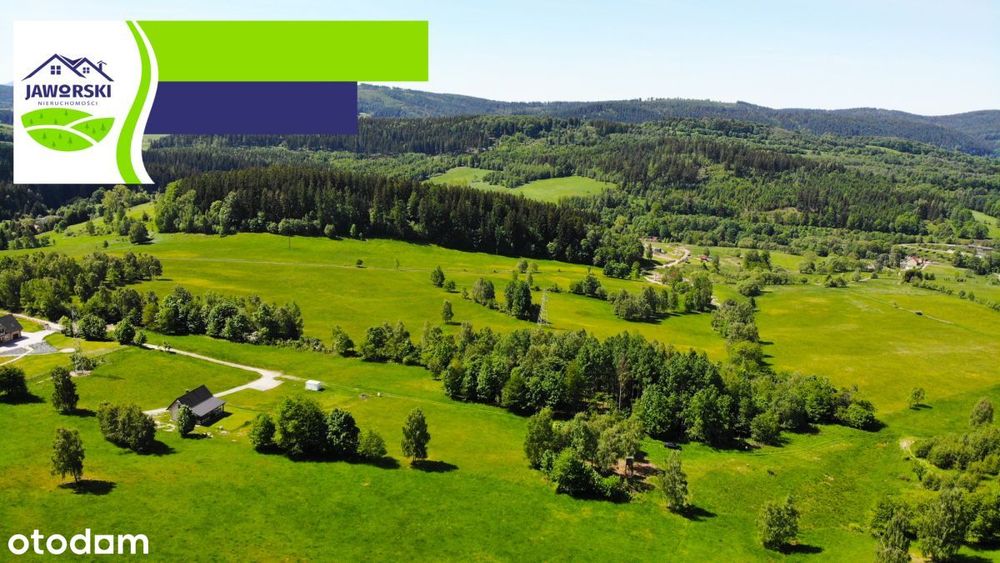 Działki budowlane w Sierpnicy- warunki zabudowy - Widok 2