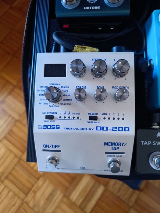 Pedal Boss DD 200