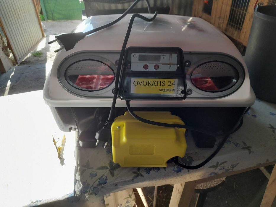 Choradeira automático